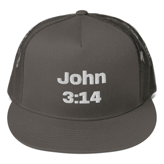 John 3:14 Mesh Back Snapback Hat